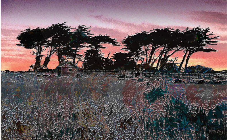 Image #1 of 3: 